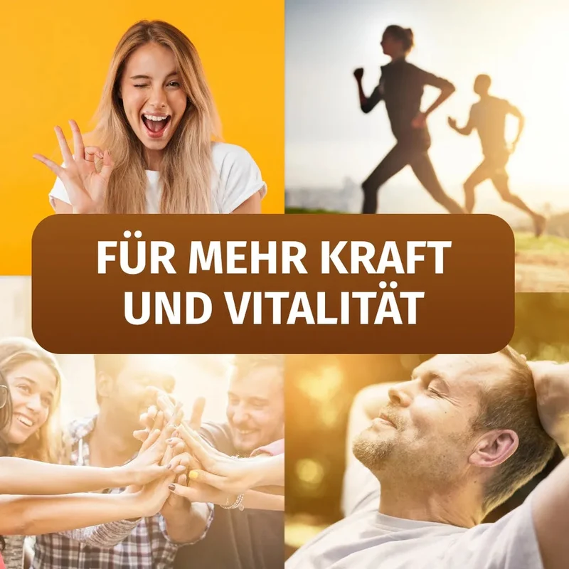 Schwarzkümmelöl Kapseln • 1.500 mg • ägyptische Herkunft