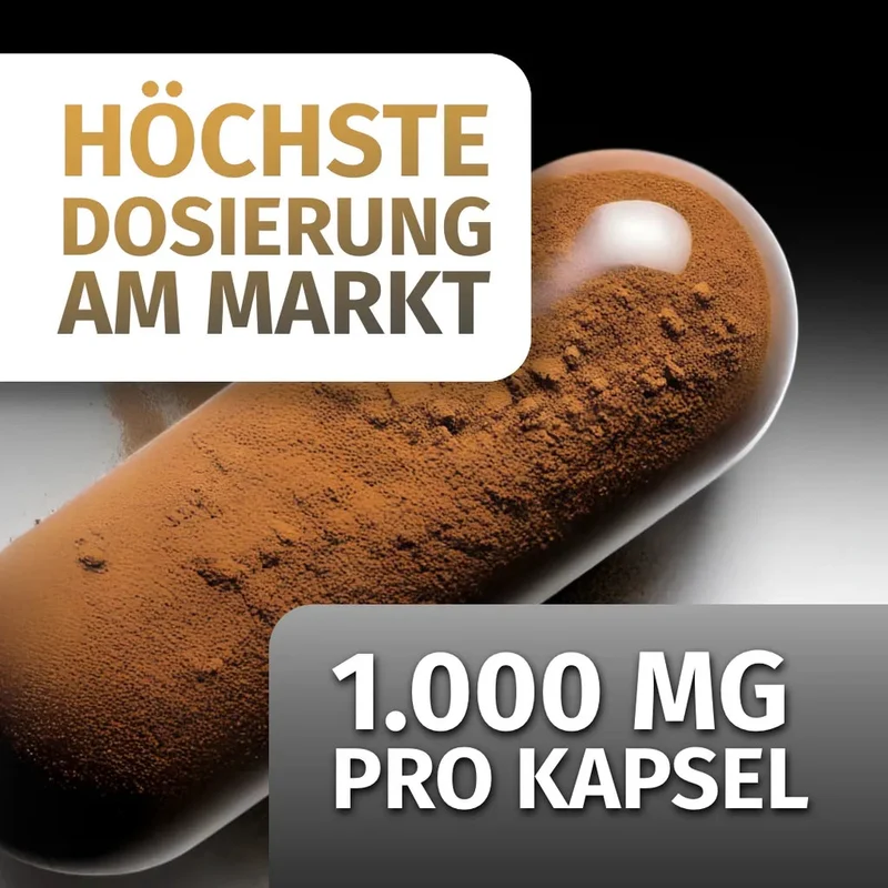 Shilajit Kapseln • 2.000 mg • 1.000 mg Fulvinsäure