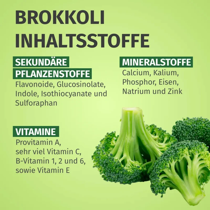 Brokkoli Extrakt Kapseln • 170 mg Sulforaphan
