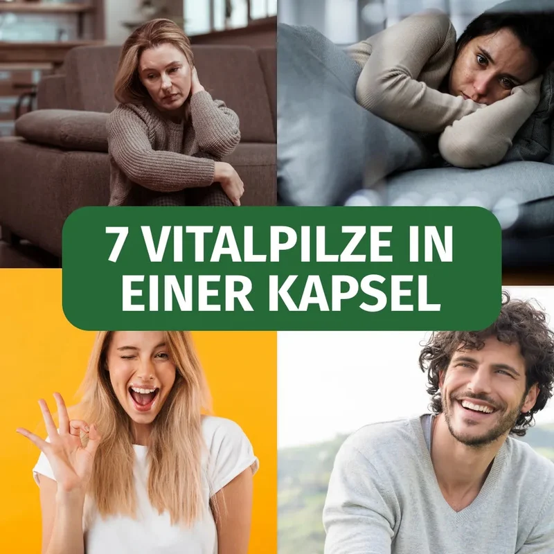 Vitalpilze Komplex • 7 Pilzarten • je 150 mg