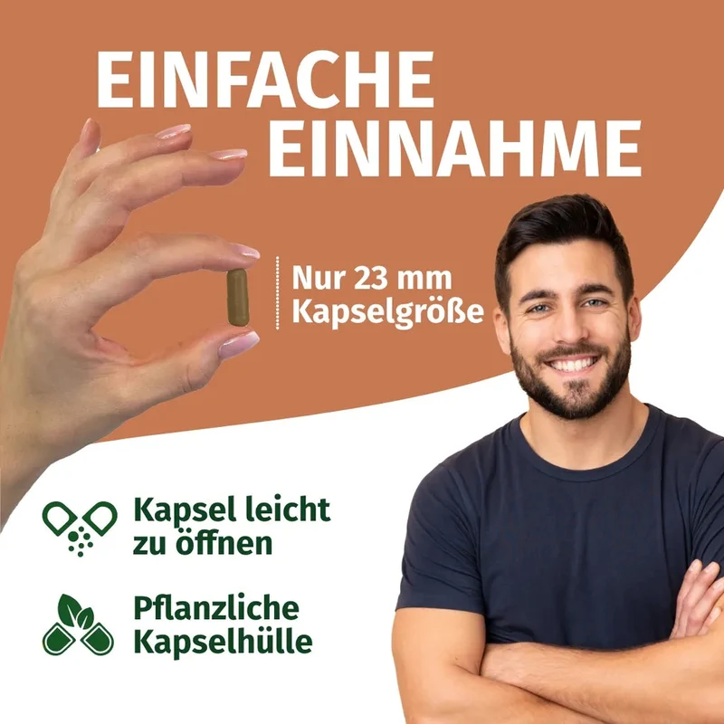Reishi Kapseln • 1.300 mg • 40 % Polysaccharide