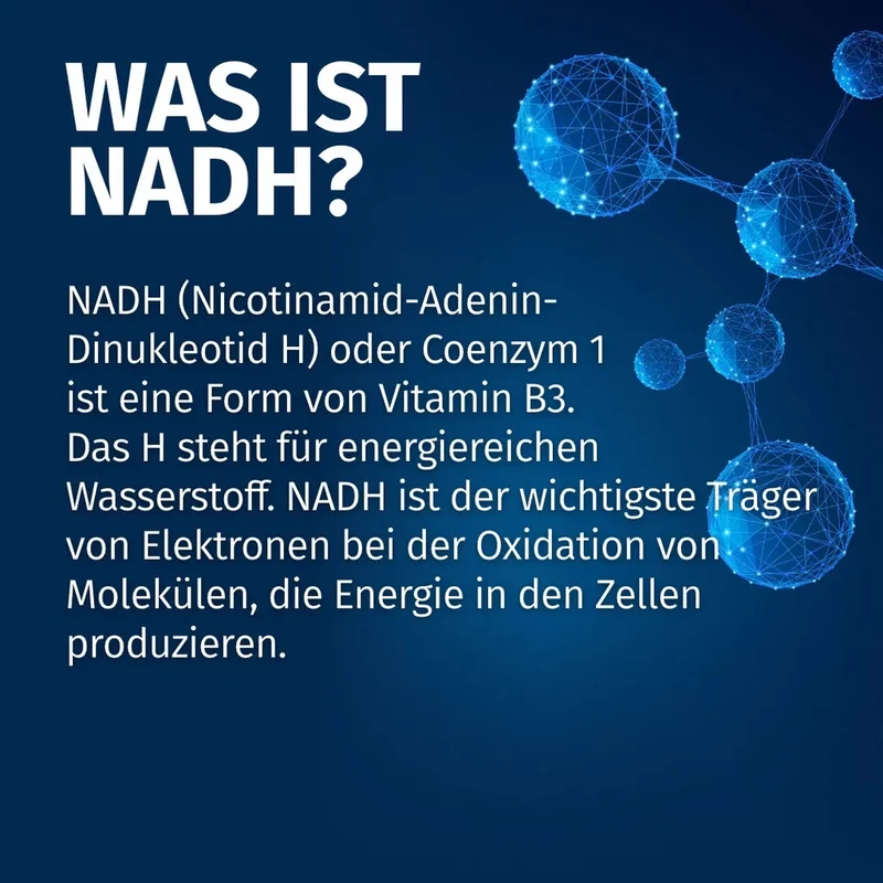 NADH Kapseln • 75 mg • stabilisiert, höchste Dosis