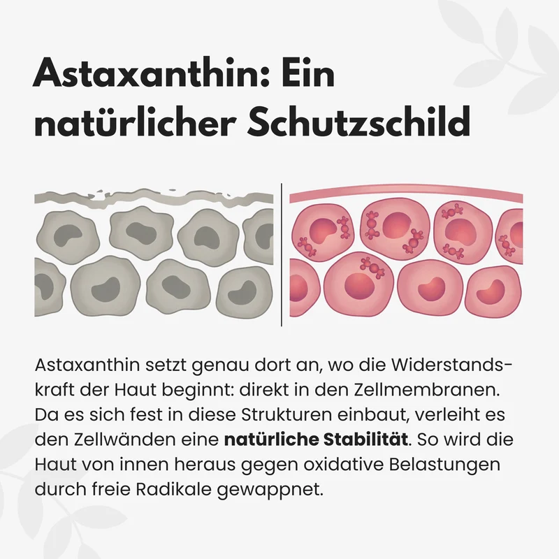 Asta Glow Bonbons - Mit Astaxanthin