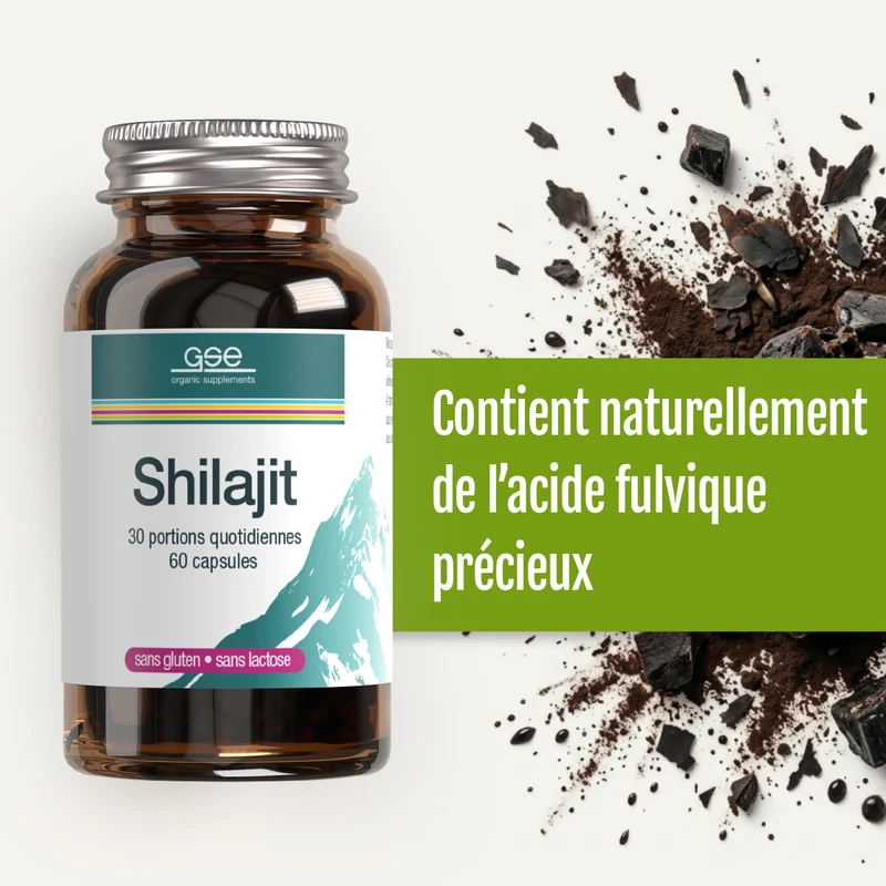 Shilajit (FR)