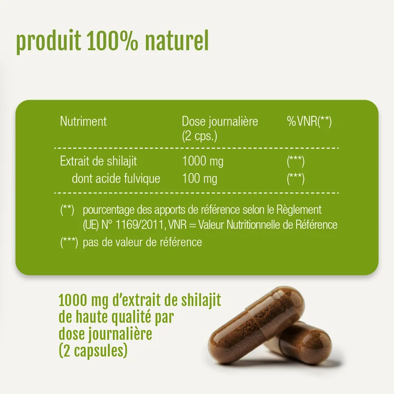Shilajit (FR)