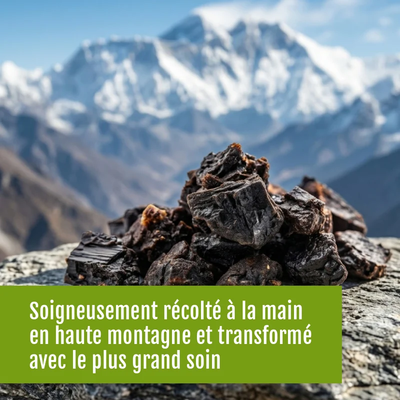 Shilajit (FR)