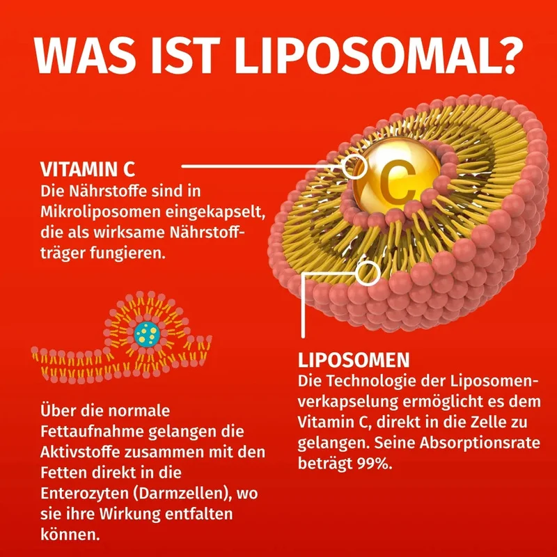Liposomales Vitamin C • 1.250 mg • hochdosiert