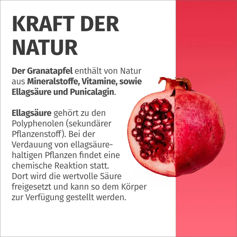 Granatapfel Kapseln • 2.200 mg • 40 % Ellagsäure