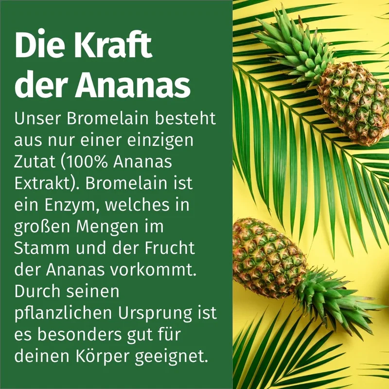 Bromelain Kapseln • 5.000 FIP • magensaftresistent