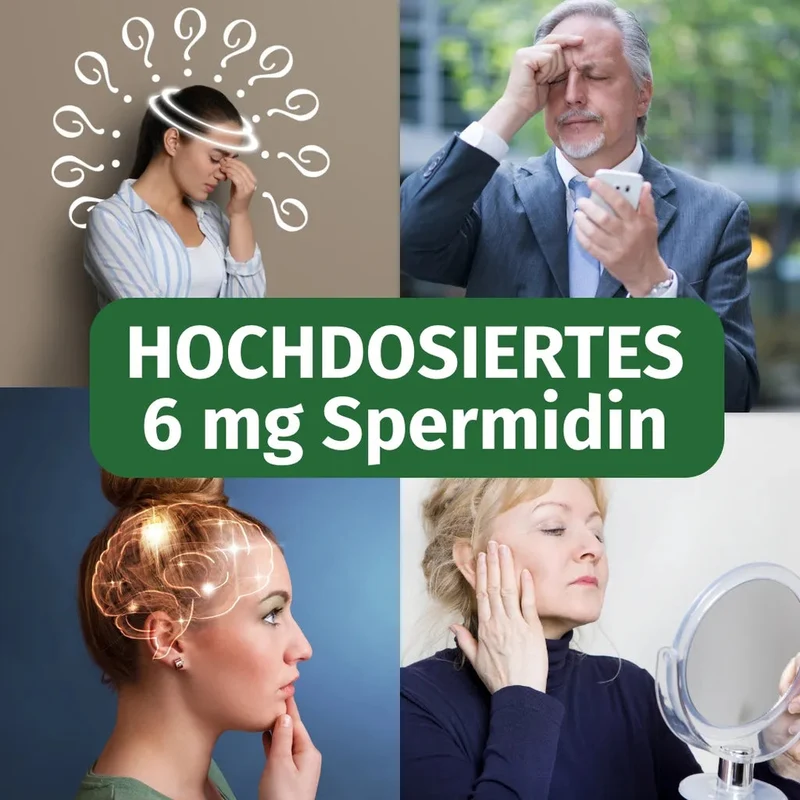 Spermidin ultra-Forte Kapseln • 6 mg • höchste Dosierung