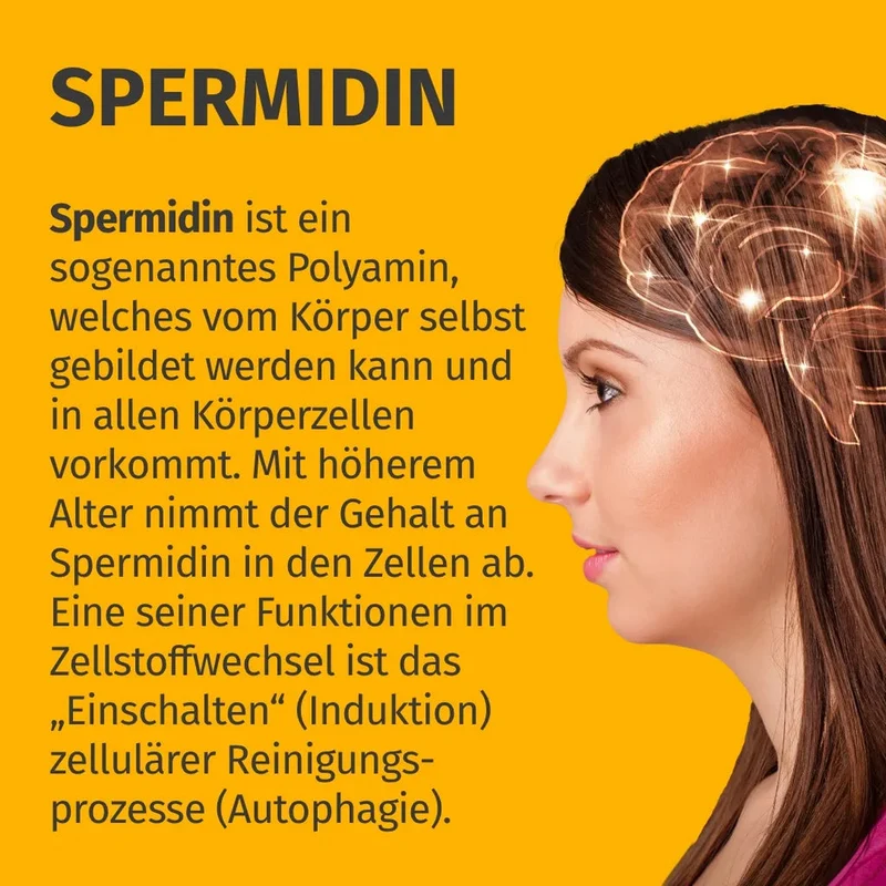Spermidin ultra-Forte Kapseln • 6 mg • höchste Dosierung