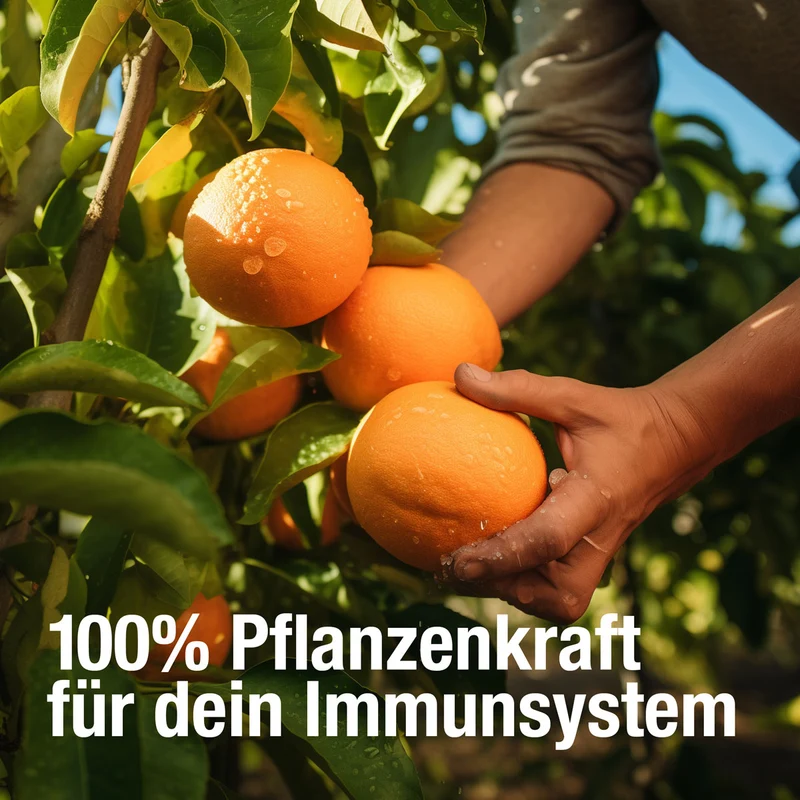 Kit Immunité Boost