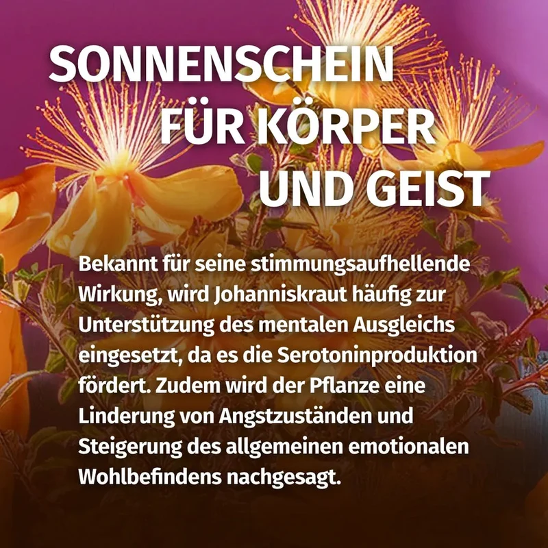 Johanniskraut Kapseln - 850 mg Extrakt (14:1) | 180 Kapseln