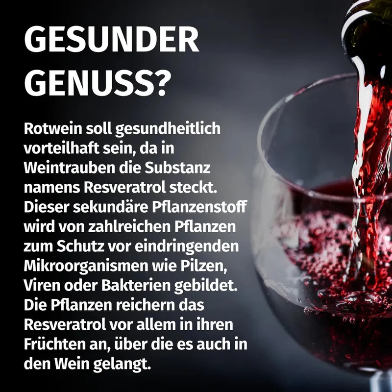 Trans-Resveratrol Kapseln • 500 mg • 120 Stück