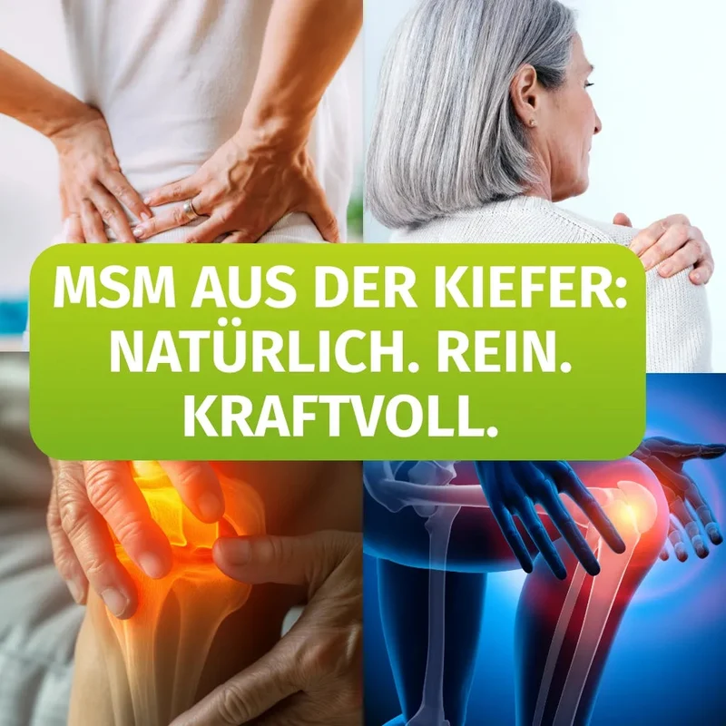 MSM Kapseln • 2.100 mg • destillativ aufgereinigt