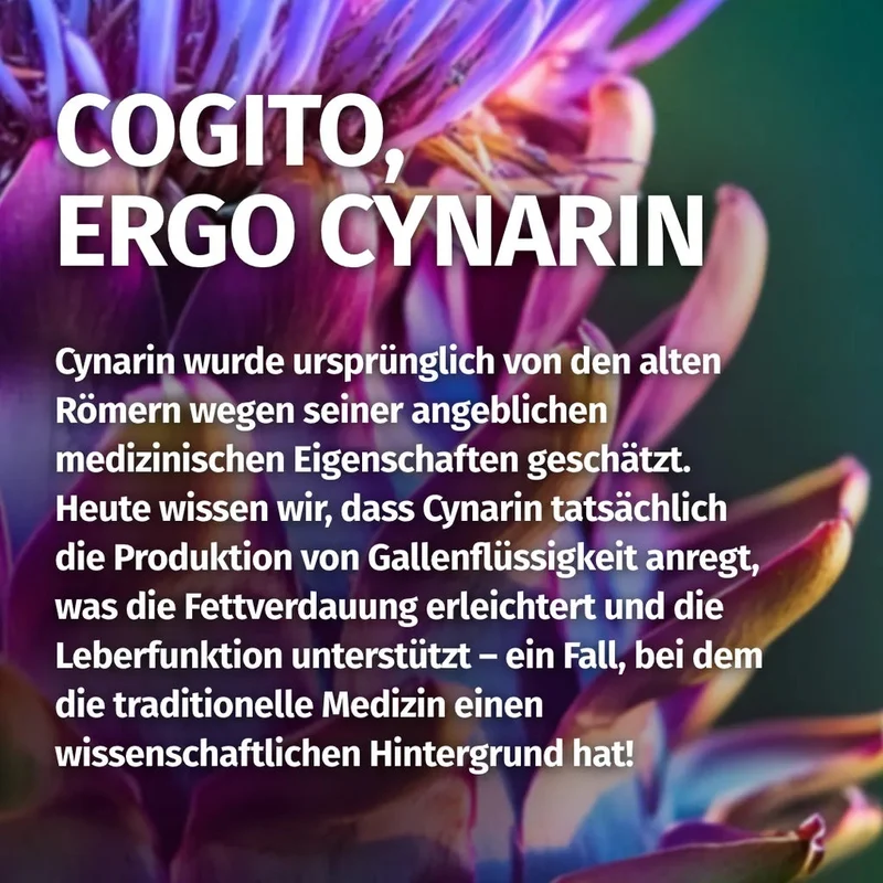 Artischocken Kapseln • 2.600 mg • 10 % Cynarin-Anteil