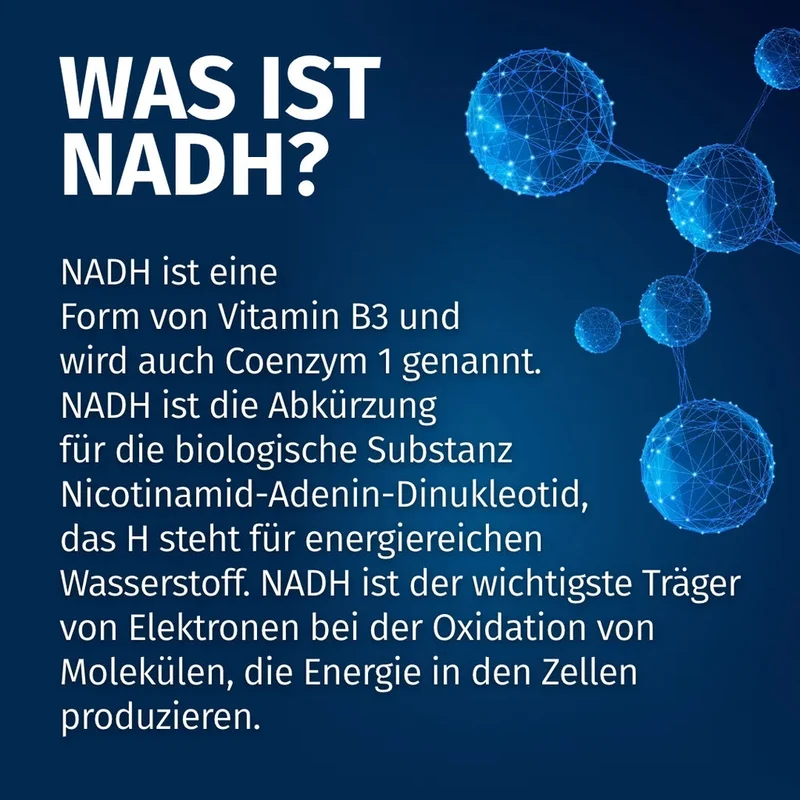 NADH Kapseln • 50 mg