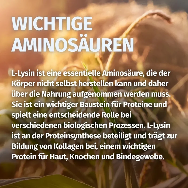 L-Lysin Kapseln • 1.200 mg • fermentativ gewonnen
