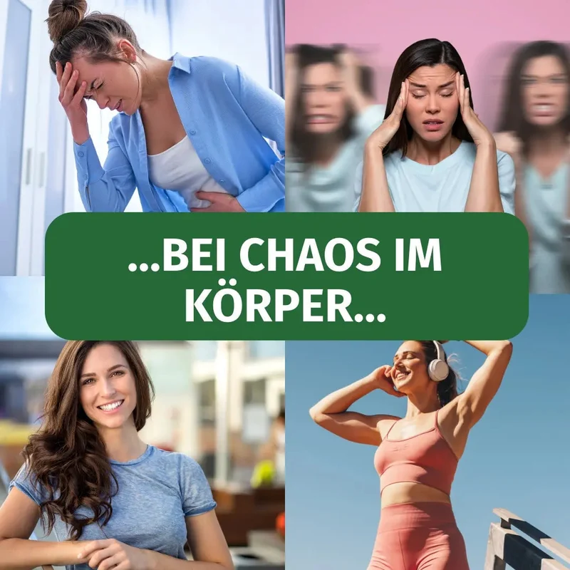 Mönchspfeffer Kapseln • 20 mg • Fruchtextrakt