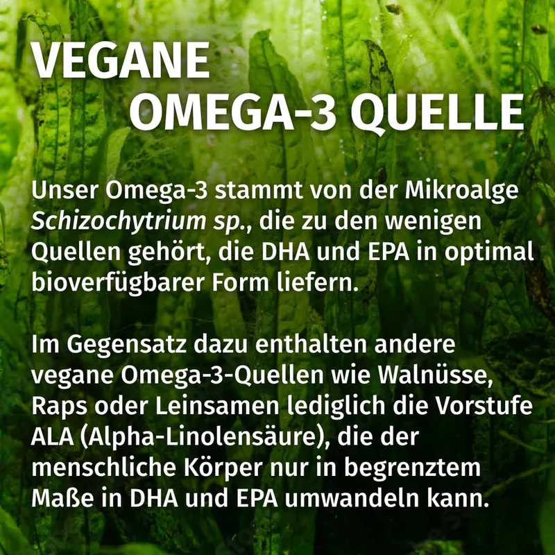 Omega 3 Algenöl Kapseln • 1.000 mg DHA • 500 mg EPA
