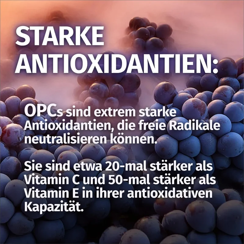 OPC Kapseln • 1.000 mg • 80 % OPC aus Traubenkern