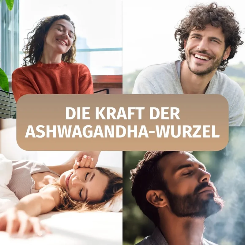 Ashwagandha Kapseln • 2.500 mg • 127 mg Withanolide