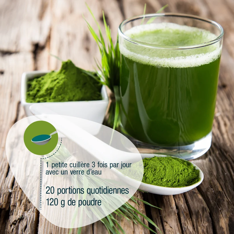 Poudre d'herbe d'orge (bio)