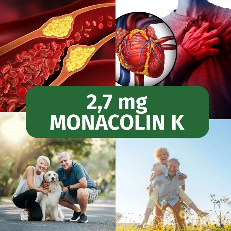 Roter Reis Kapseln • 2,7 mg Monacolin K • fermentiert