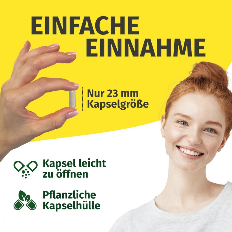 Rutin & Steinklee Kapseln • 500 mg + 500 mg