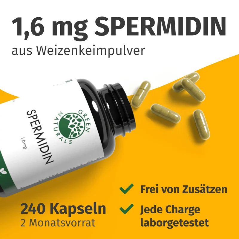 Spermidin Kapseln • 1,6 mg • aus Weizenkeim