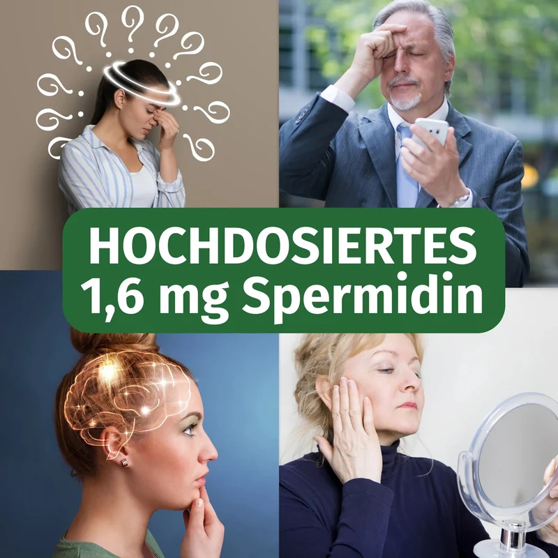 Spermidin Kapseln • 1,6 mg • aus Weizenkeim