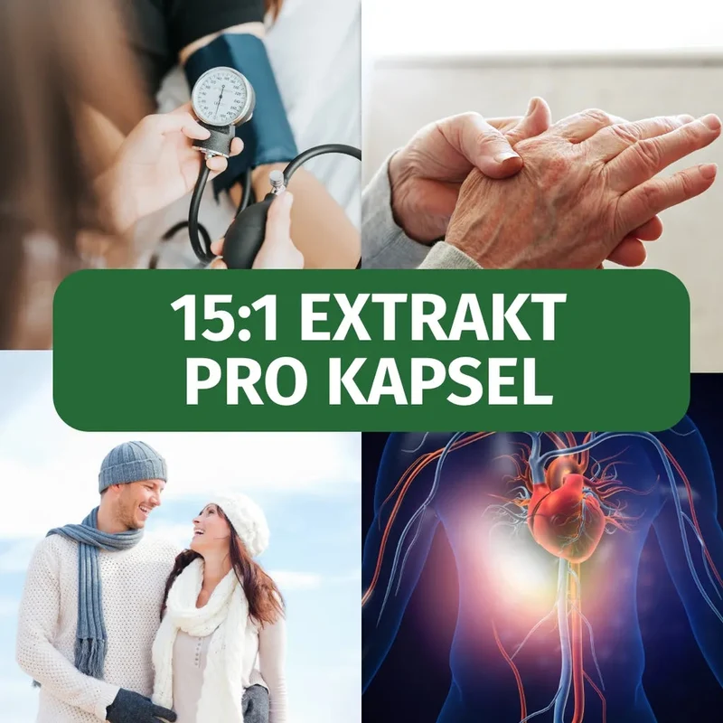 Schwarzer Knoblauch Kapseln • 750 mg • 0,75 mg SAC