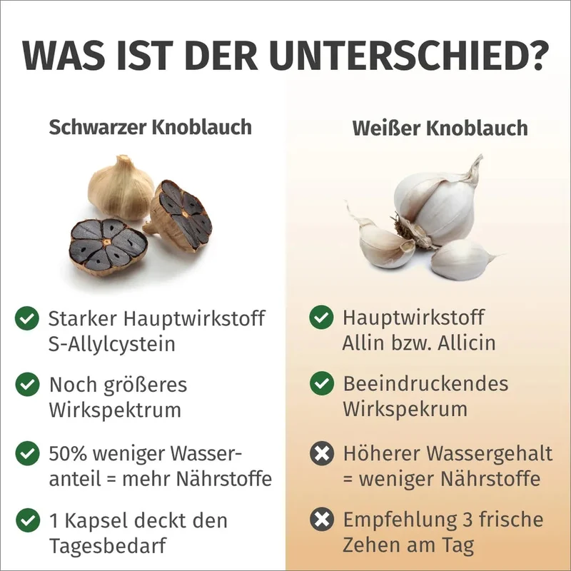 Schwarzer Knoblauch Kapseln • 750 mg • 0,75 mg SAC