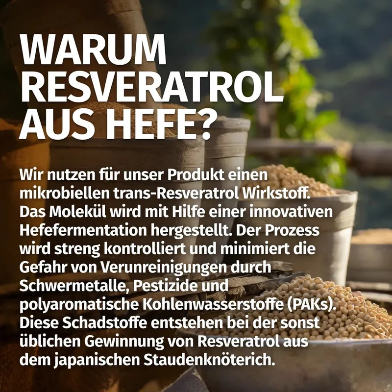 Trans-Resveratrol Kapseln • 500 mg • 60 Stück