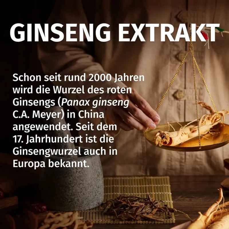 Panax Ginseng Kapseln • 1.400 mg • 20 % Ginsenoside