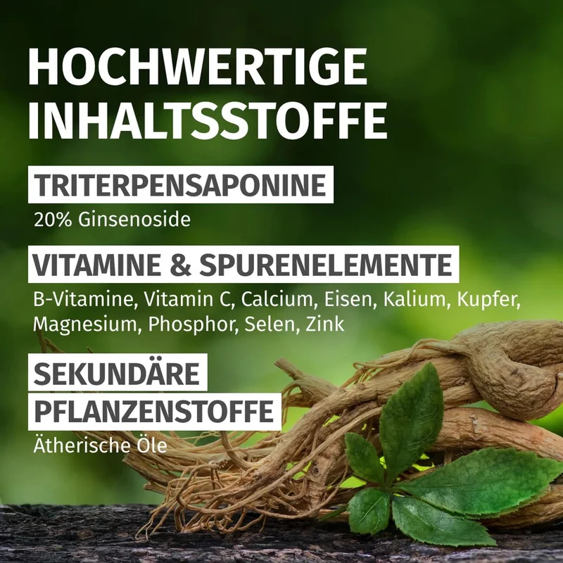 Panax Ginseng Kapseln • 1.400 mg • 20 % Ginsenoside