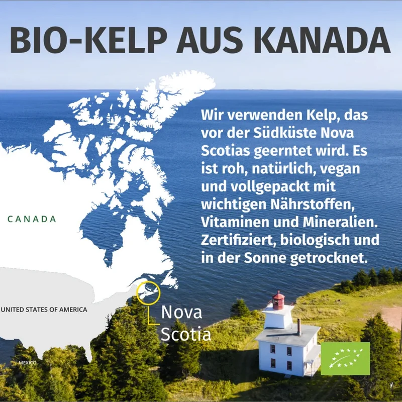 Jod Kapseln • 200 µg • aus Bio-Kelp