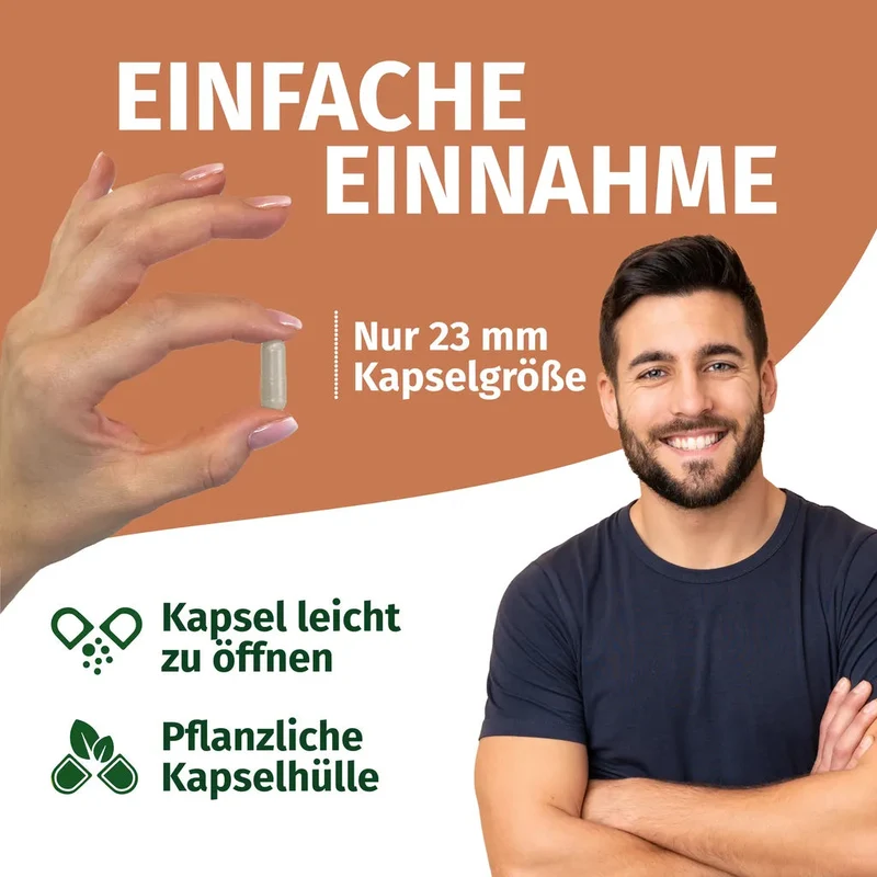 Reishi Kapseln • 1.100 mg • 30 % Polysaccharide