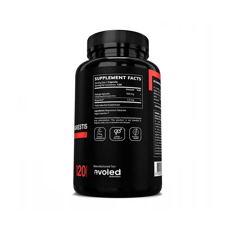 Evoled Nutrition Fadogia Agrestis