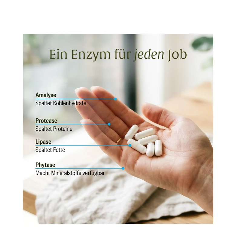 Enzymhelden: Enzym-Komplex mit Protease, Amylase, Lipase & Phytase