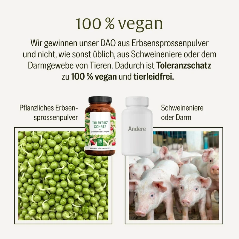 Toleranzschatz: HIT Diaminoxidase (DAO) Komplex