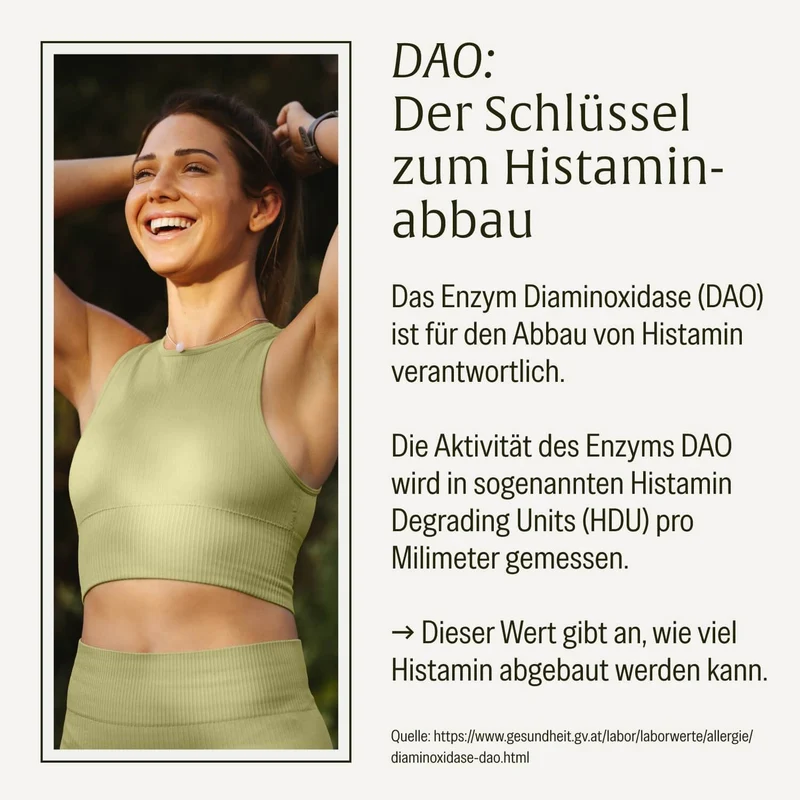 Toleranzschatz: HIT Diaminoxidase (DAO) Komplex