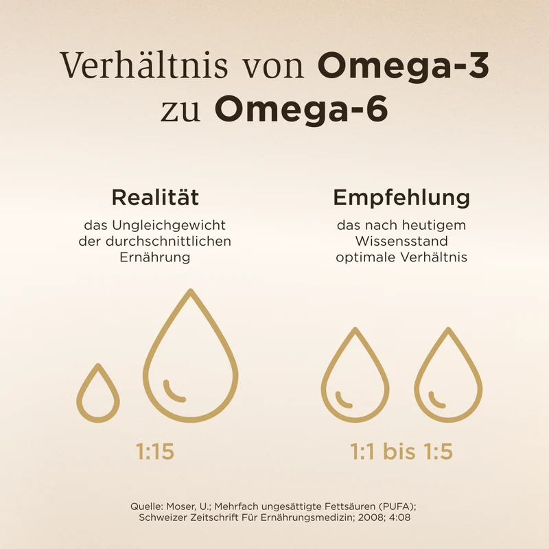 Omega-3 Fischöl - hochdosiert