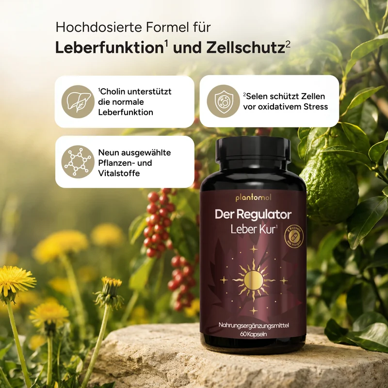 Leberkur - 2in1 (Der Regulator + Der Zellschützer)