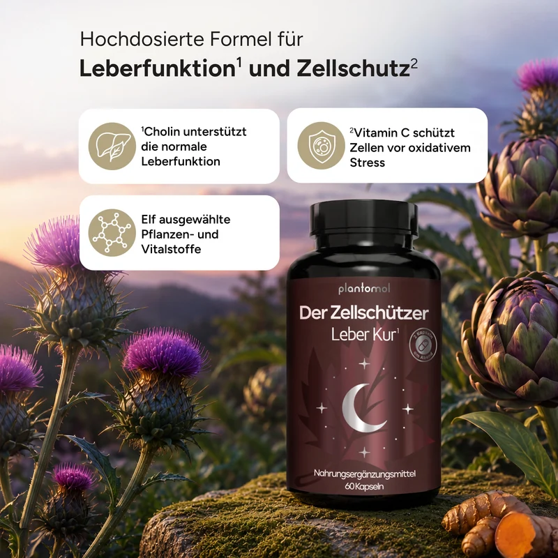 Leberkur - 2in1 (Der Regulator + Der Zellschützer)