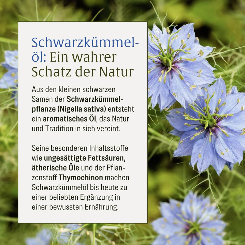 Schwarzkümmel: Schwarzkümmelöl aus Ägypten