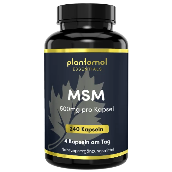 MSM - 500mg pro Kapsel