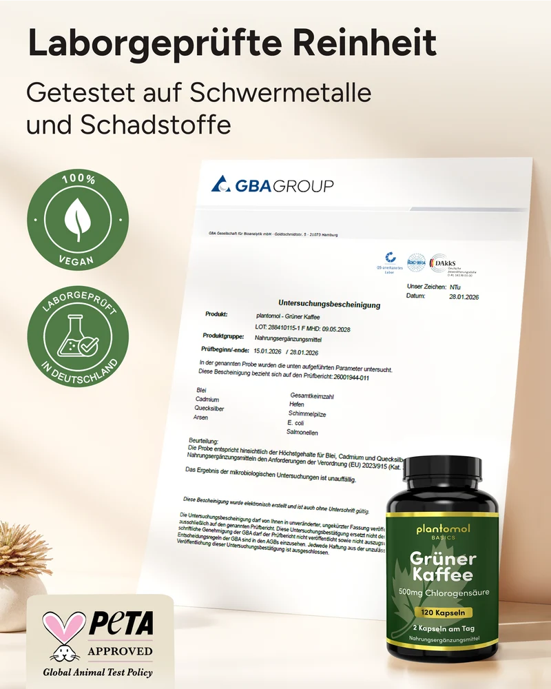 Grüner Kaffee - 500mg Chlorogensäure pro Tag