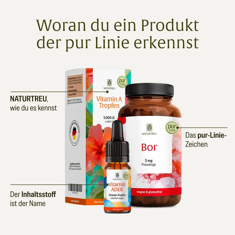 Magtein®: Magnesium-L-Threonat mit Phosphatidylserin