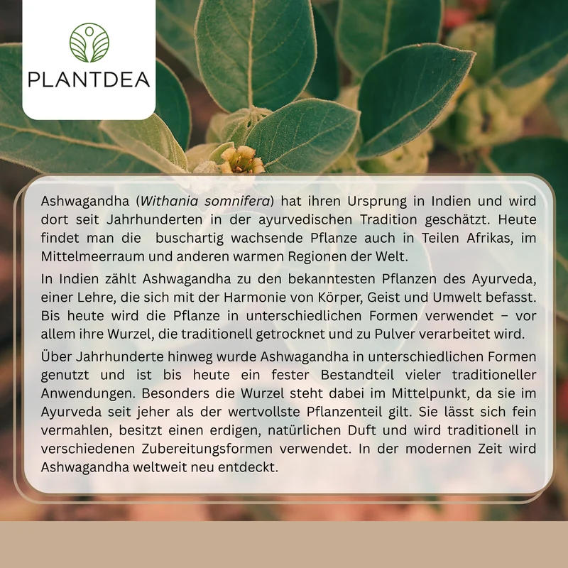 Bio Ashwagandha Pulver
